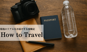 How to Travel